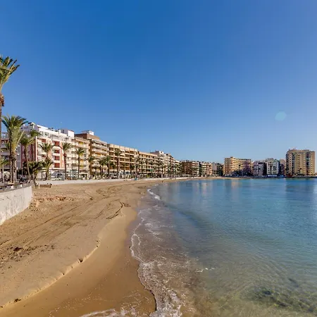 Concordia * Torrevieja